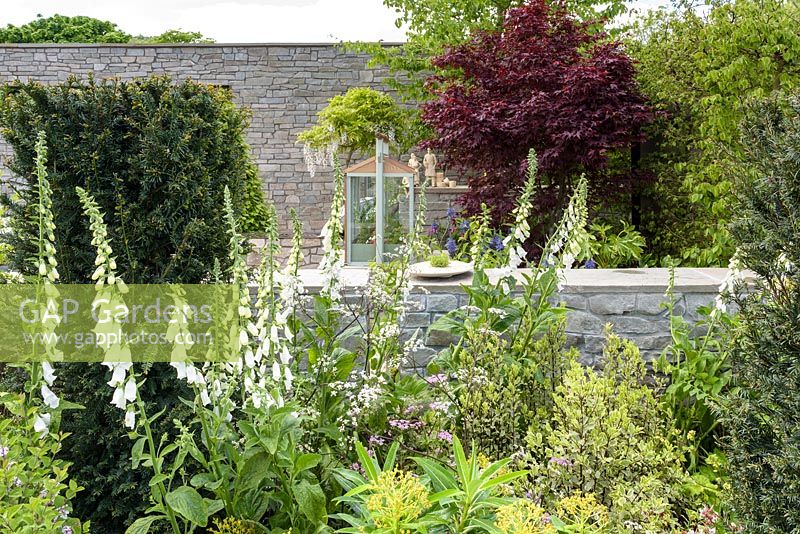 Euphorbia, white Digitalis and red Acer in Royal Porcelain Works - The Collector's Garden, RHS Malvern Spring Festival, 2018.