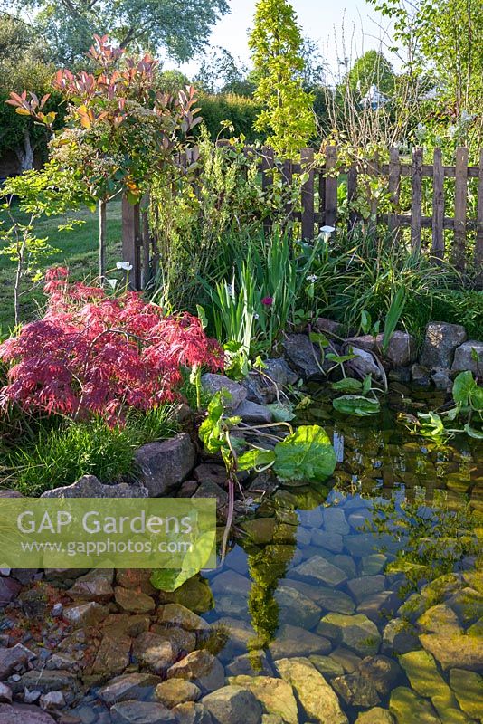 Pond with stone border and bottom - 'From Over the Fence' - RHS Malvern Spring Festival, 2018, Sponsor: Pershore College Nurseries Aquajardin. 