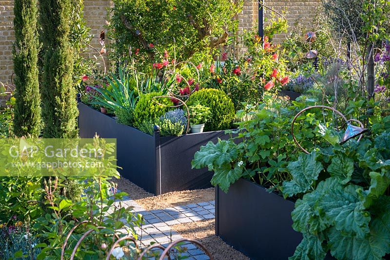 Dark raised beds with copper spiral supports - 'The Perfumer's Garden', RHS Malvern Spring Festival, 2018 - Sponsor: Keyscape Design. 