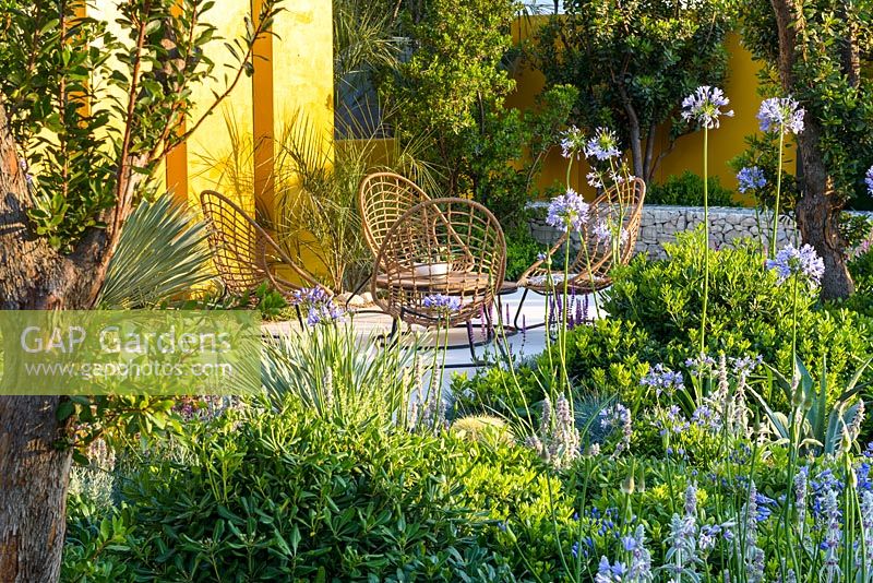 Chairs on stone terrace with Yucca rostrata, Arbutus unedo and Pittosporum tobira 'Nanum'. 'Living La Vida 120'. RHS Hampton Flower Show 2018 