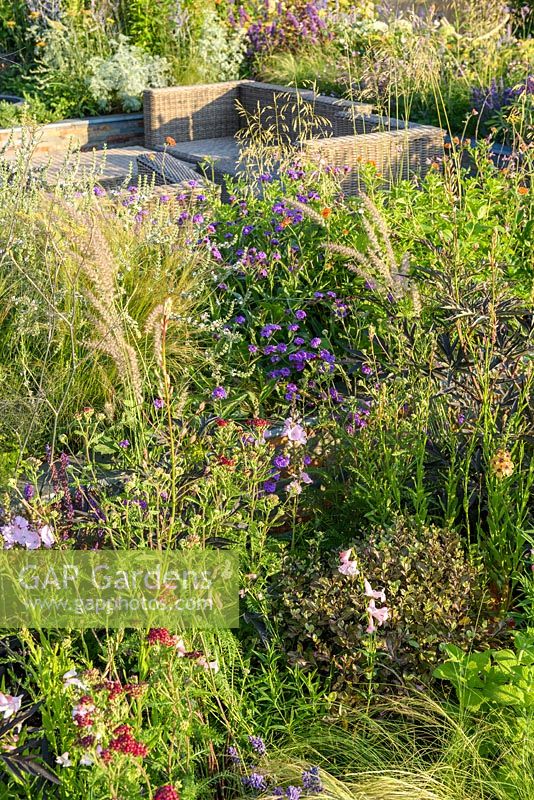Sofas with perennial planting. 'RNIB Community Garden', RHS Hampton Flower Show 2018 