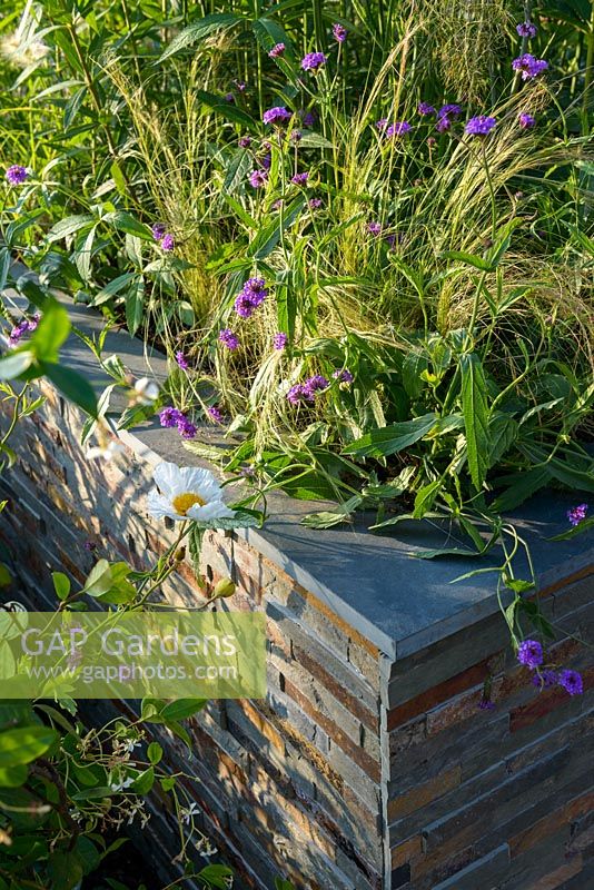 Stone veneered raised bed with Stipa, Verbena and Romneya coulteri. 'RNIB Community Garden', RHS Hampton Flower Show 2018.