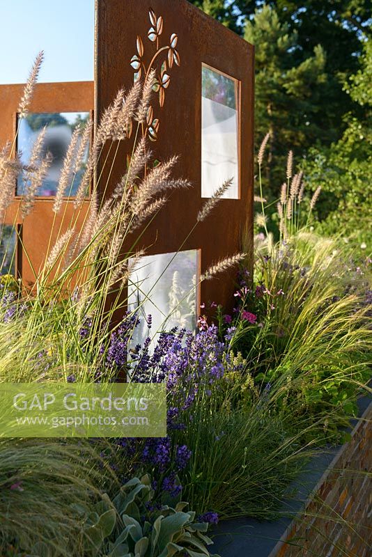 COR-TEN steel screens with Pennisetum orientale 'Shogun' and Lavendula angustifolia 'Hidcote. 'RNIB Community Garden', RHS Hampton Flower Show 2018.