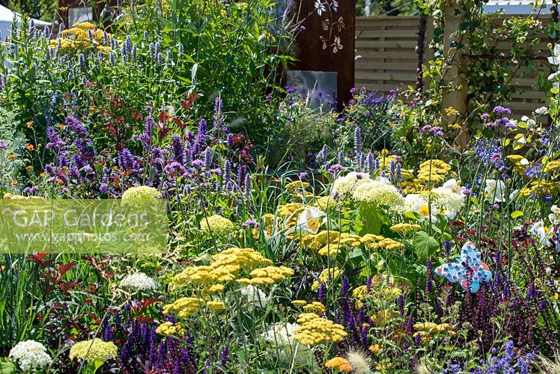 Mixed border of perennials - RNIB's Community Garden, RHS Hampton Court Palace Flower Show 2018