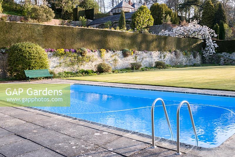 Swimming pool with backdrop of terrace walls, formal hedging and lawn
