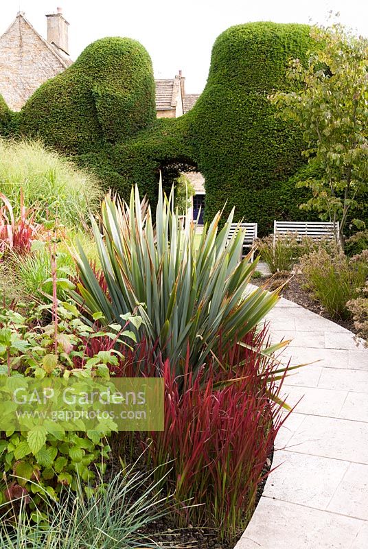Contemporary garden incorporating historic Taxus baccata - yew - topiary and curving stone path through
 beds planted with: Imperata cylindrica 'Rubra', Phormium, Miscanthus and
 Cornus
