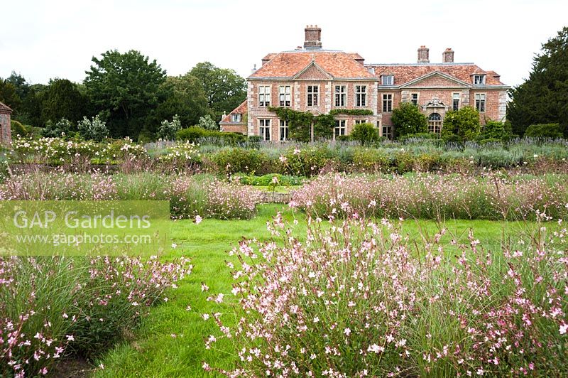 View across flowerbeds of Miscanthus sinensis 'Kleine Silberspinne' and Gaura lindheimeri 'Rosyjane' to house. Heale House, Middle Woodford, Salisbury, Wilts, UK. 