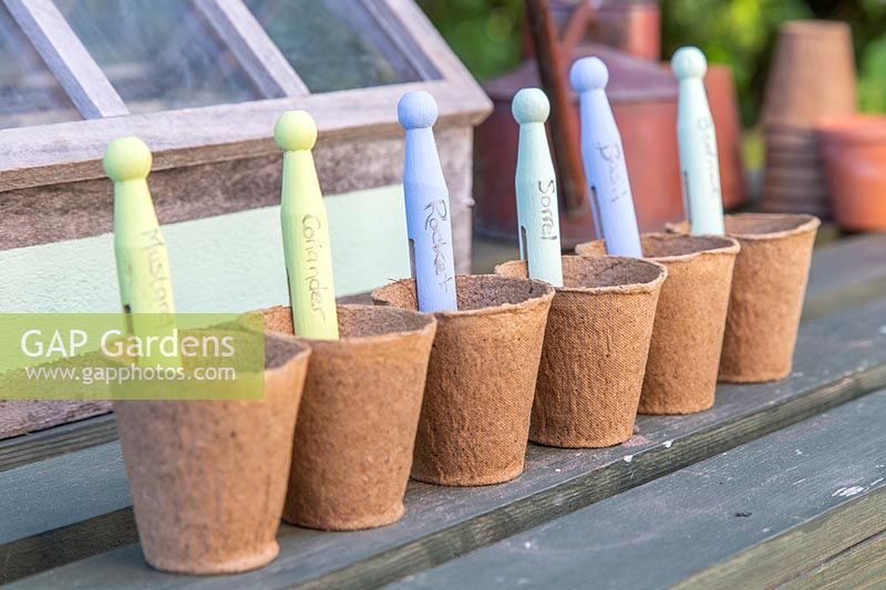 Row of biodegradable pots with clothes peg labels