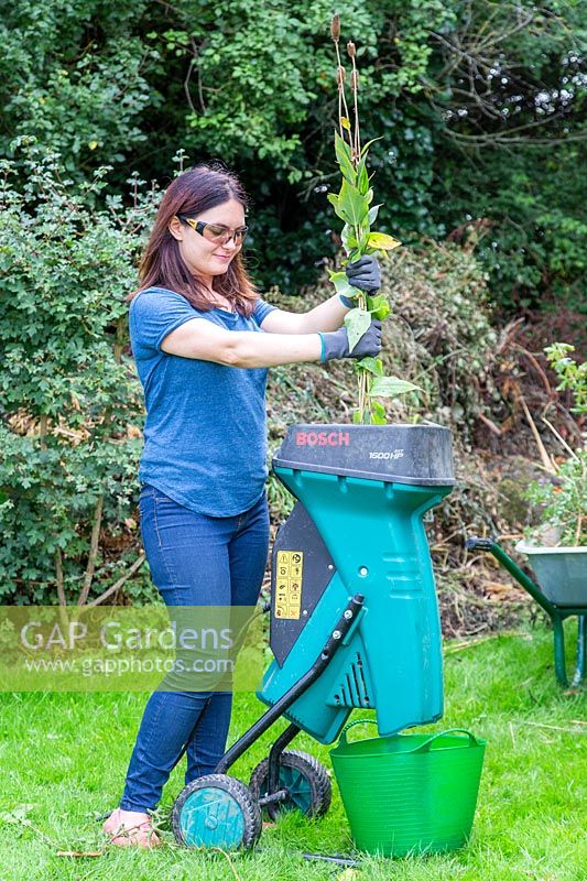 Woman using shredder to dispose of garden cuttings. 