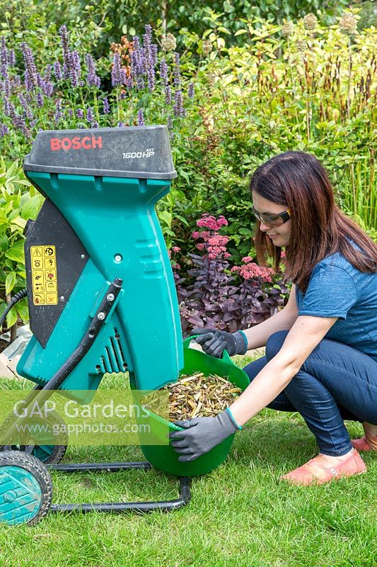 Woman removing plastic trug full of garden cuttings from under the shredder. 