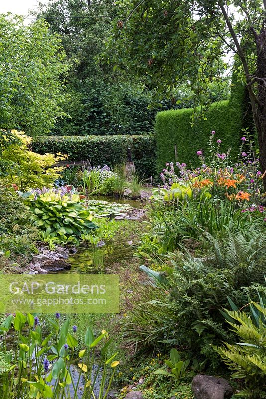 View of a pumped stream, edged in astilbes, daylilies, hostas, ferns and primulas.
