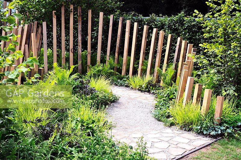 Lush green planting along path of crazy paving and crushed sandstone, with timber posts along one edge. Calm In Chaos Garden, Sponsored by Groundwork UBS Wealth Management, RHS Tatton Park Flower Show, 2018.  