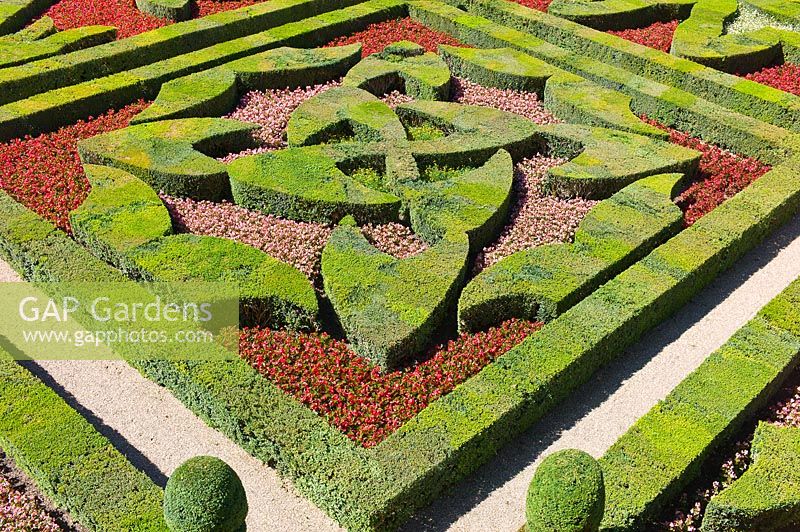 Ornamental Garden with clipped Buxus sempervirens, Chateau de Villandry, Loire Valley, France