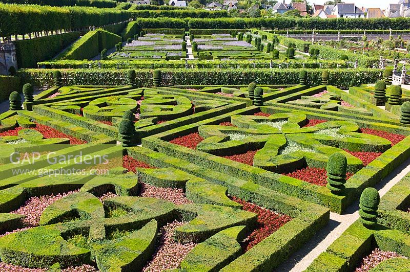 Ornamental Garden with clipped Buxus sempervirens and Taxus, Chateau de Villandry, Loire Valley, France