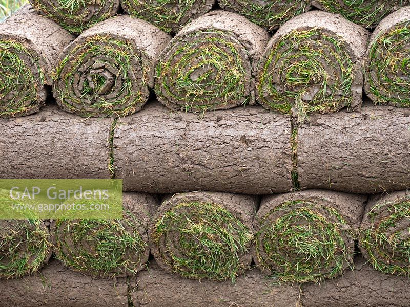 Rolls of grass turf ready for laying