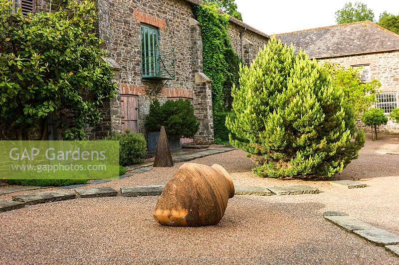Evergreen Pinus and terracotta pot in courtyard garden, Plaz Metaxu Garden, Devon.