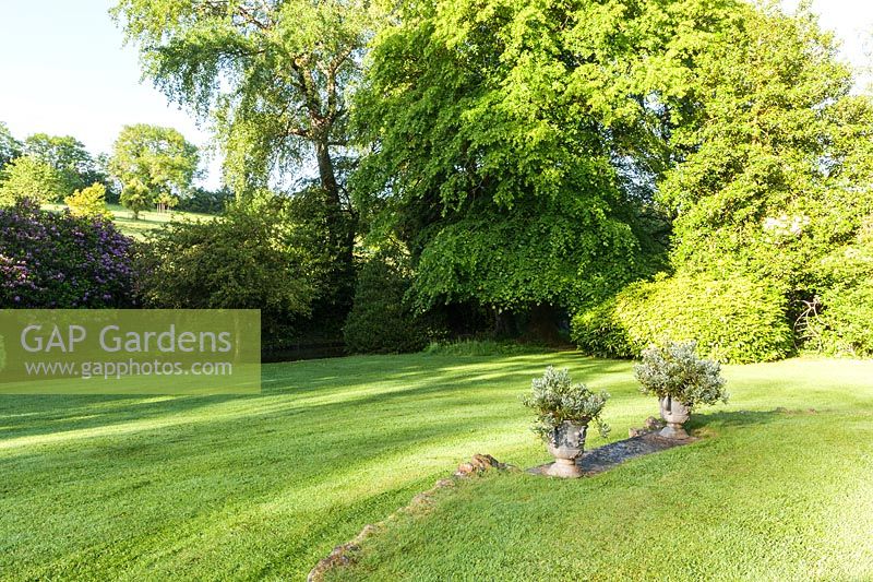 View of multi-level lawn in front of house. Plaz Metaxu Garden, Devon, UK. 