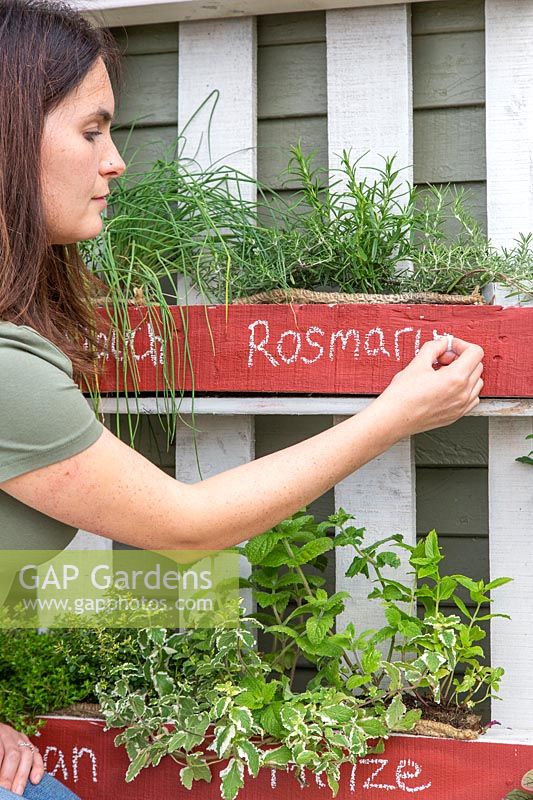 Woman writing German common name for herb in challk on front of pallet planter