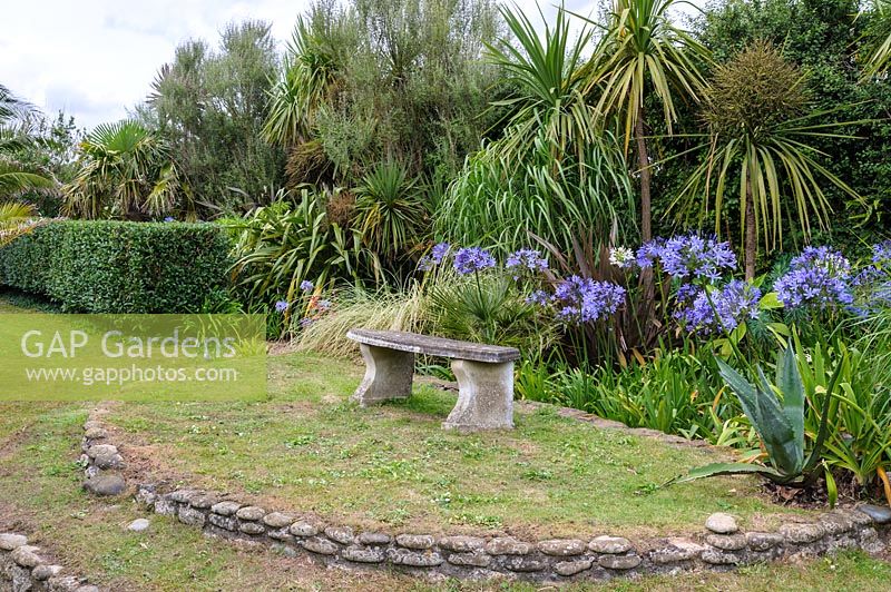 Bench with agapanthus, Cordyline australis, phormiums and succulents.