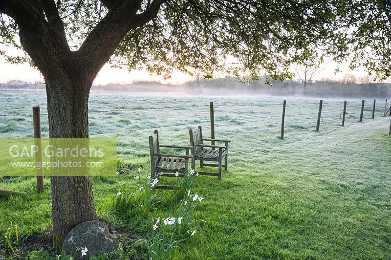 Mist rising at dawn with chairs under tree beside fence and fields, Stockbridge, Hampshire