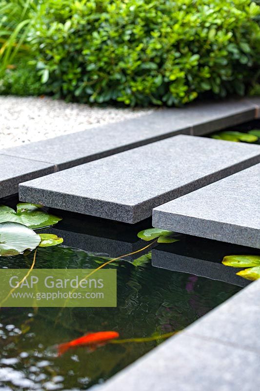 A detail shot of stepping stones over modern narrow garden pond with goldfish. Garden design by John Davies Landscape.