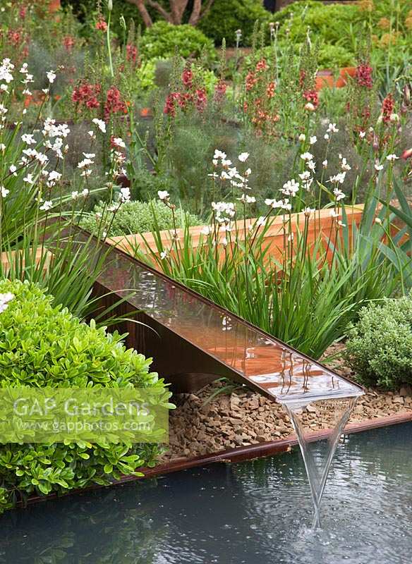 Water rill with Libertia, Pittorsporum and Verbascum. Homebase Teenage Cancer Trust Garden, RHS Chelsea Flower Show