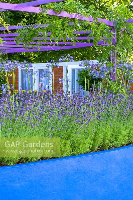 Painted walls with Lavender and purple pergola, Hampton Court Flower Show, 2003