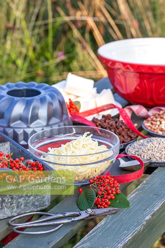 Tools and ingredients for making a bundt cake bird feeder, including cheese, seeds, nuts, raisins and lard.