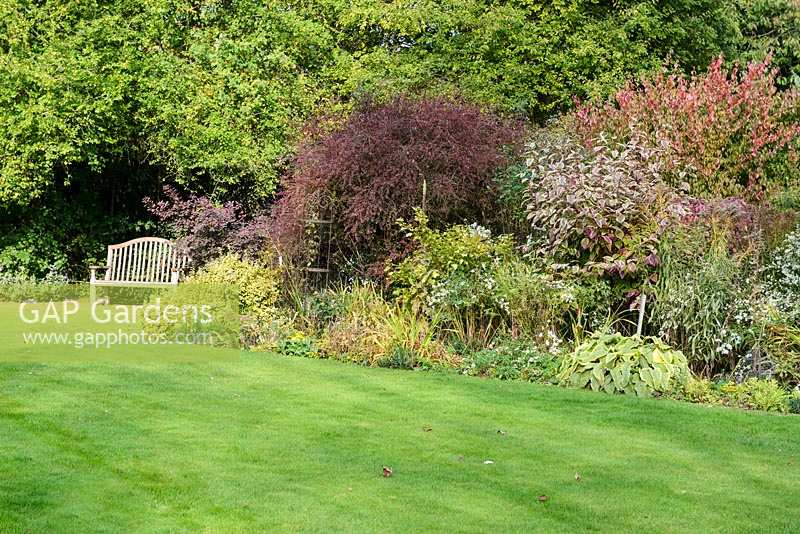 Shrub border with   Euonymus, Berberis, Cornus sibirica 'Variegata' , perennials and bulbs -Thundridge Hill House Garden, Hertfordshire, UK