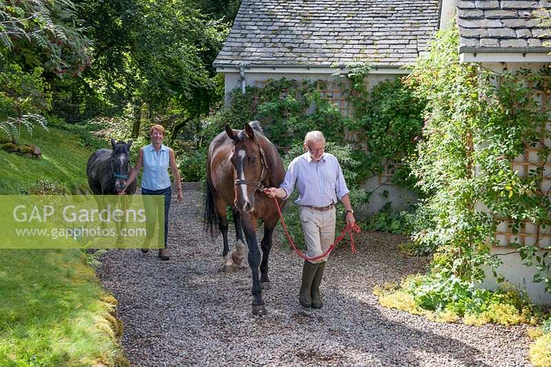 Ian and Clare Alexander leading their horse and pony