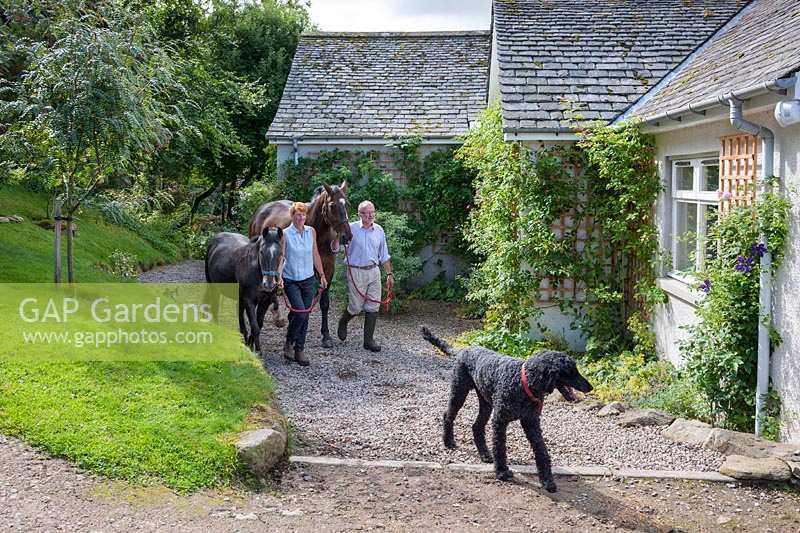 Ian and Clare Alexander and pet poodle leading their horse and pony to the stable block past the house. 