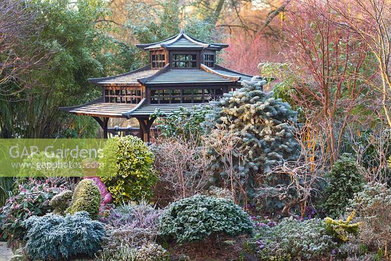 Japanese Tea House-style gazebo in frosted garden, with oriental statuary and shrubs and trees.
