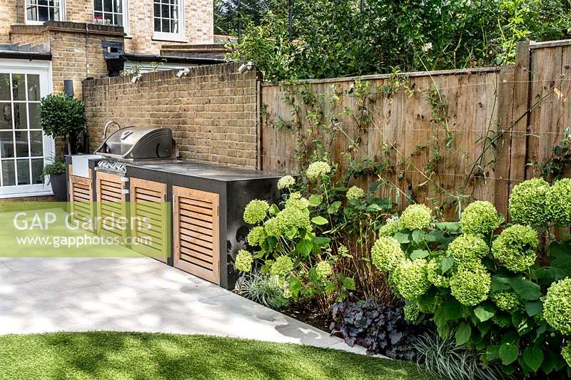 Contemporary garden with white stone patio, with a garden kitchen 
with built in barbecue. Border contains Hydrangea 'Annabelle' with
 Trachelospermum jasminoides  - jasmine trained on fence