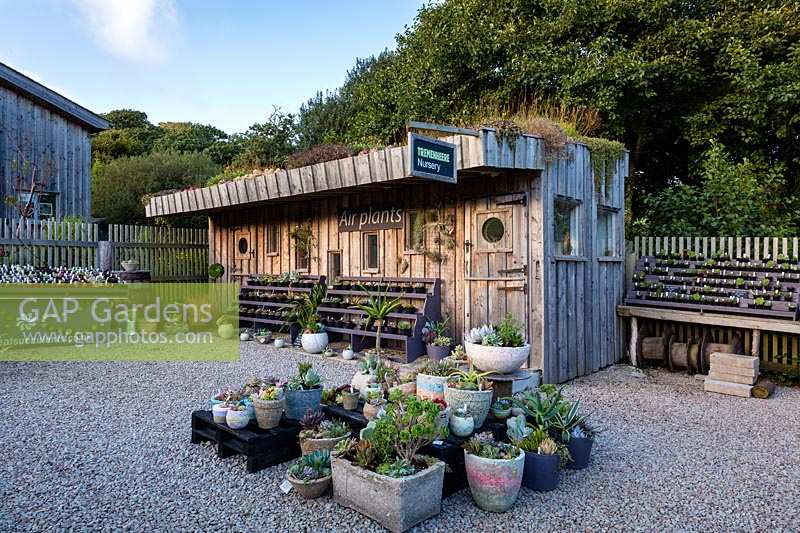 The Cabin at Surreal Succulents, Tremenheere Nursery, Cornwall, UK. 