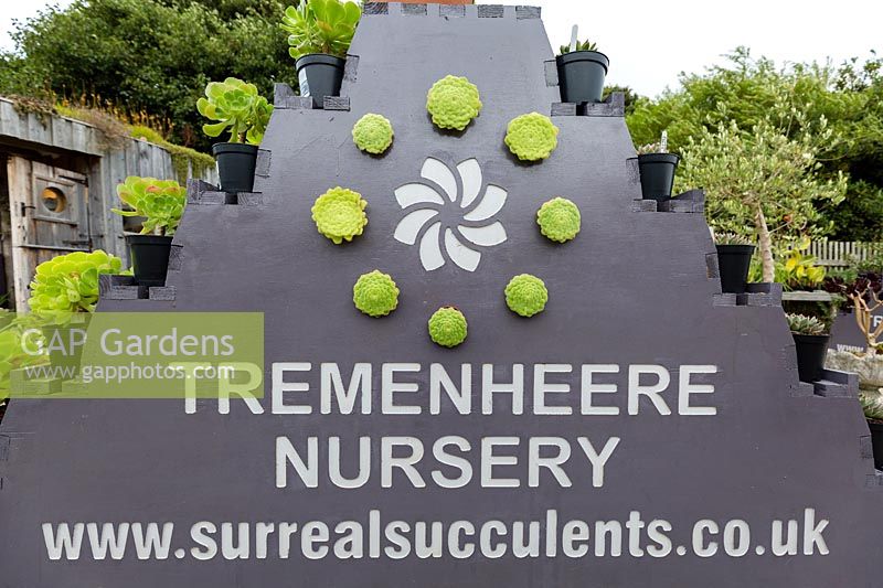 Surreal Succulents, Tremenheere Nursery, Cornwall, UK. 