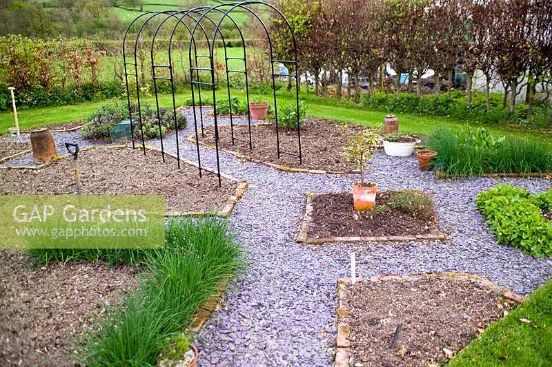Empty herb garden with metal pergola frame, slate mulched paths, chives, forcing pots and beech hedges at Summerdale Garden, Cumbria, UK. 
