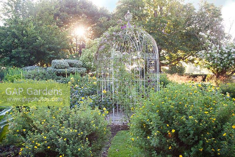 Yellow themed planting including Verbascum, Roses, and Potentilla fruticosa with decorative metal gazebo. Bowley Farm, Sussex, UK. 