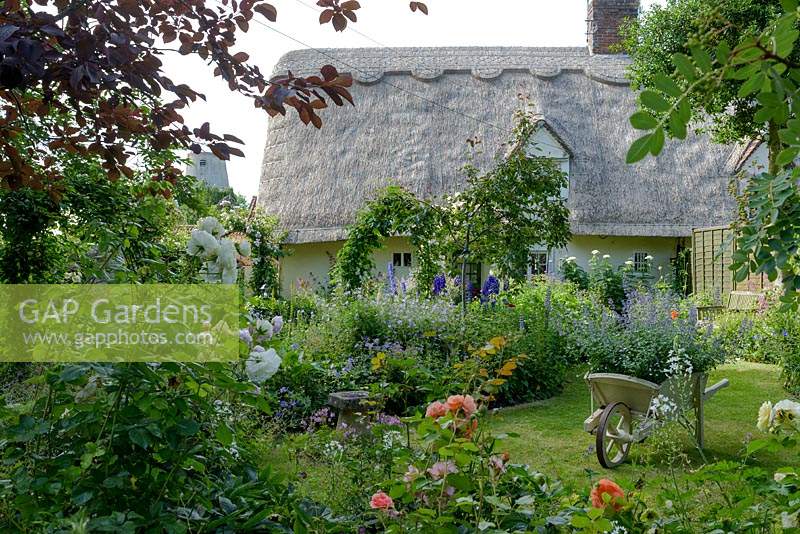 Thatched Cottage and country garden, with mixed plantings of roses, geraniums and catmint. 