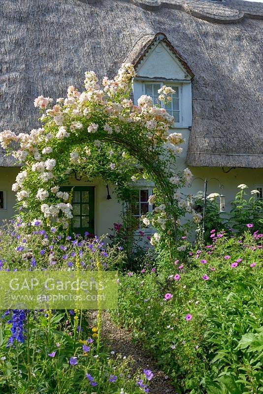 Cottage garden with rose arch covered in Rosa 'Phyllis Bide' - Rose  'Phyllis Bide' 