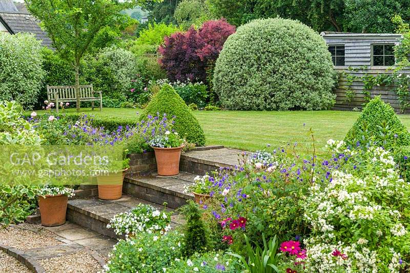 View of immaculate garden with herbaceous borders and steps leading to lawn. 