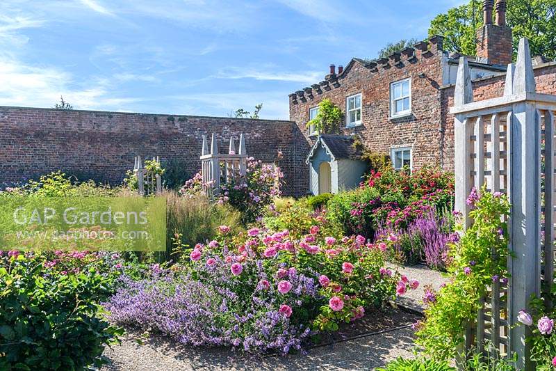 View of courtyard garden with colourful flowering borders including Rosa 'Princess Alexandra of Kent', Rosa 'Rose de Rescht' and Nepeta. 
