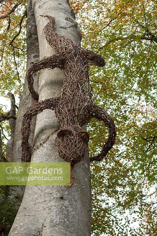 Willow lizard sculpture on a tree trunk