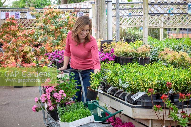 Woman buying plants in a garden centre. 