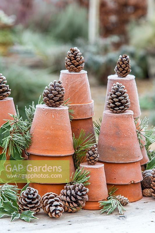 Festive display using stacked terracotta pots, pine and frosted pine cones. 