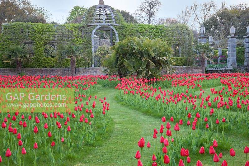Mown labyrinth planted with display of Tulips with the pergola. Arundel Castle, West Sussex, UK