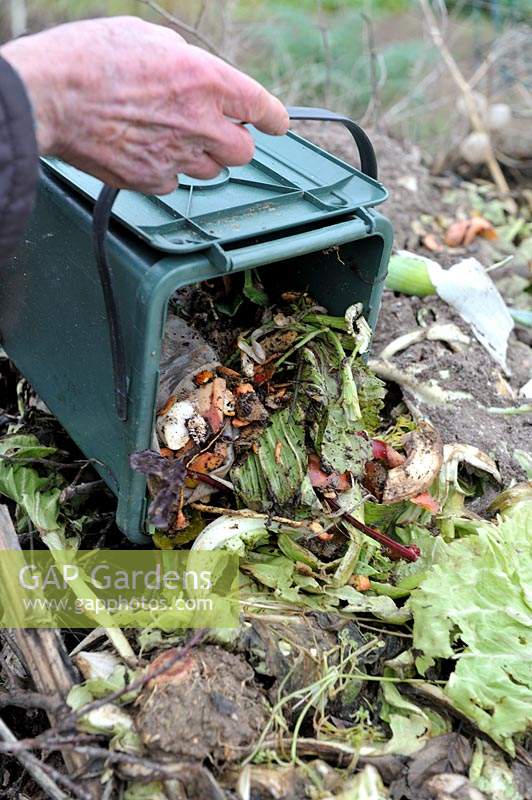 Adding kitchen food waste to compost heap