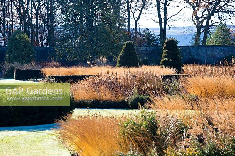 Grasses and herbaceous seed heads, yew hedges and topiary