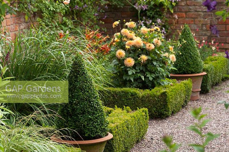 Formal border with topiary in The Long Border at Wollerton Old Hall, Shropshire, UK. 