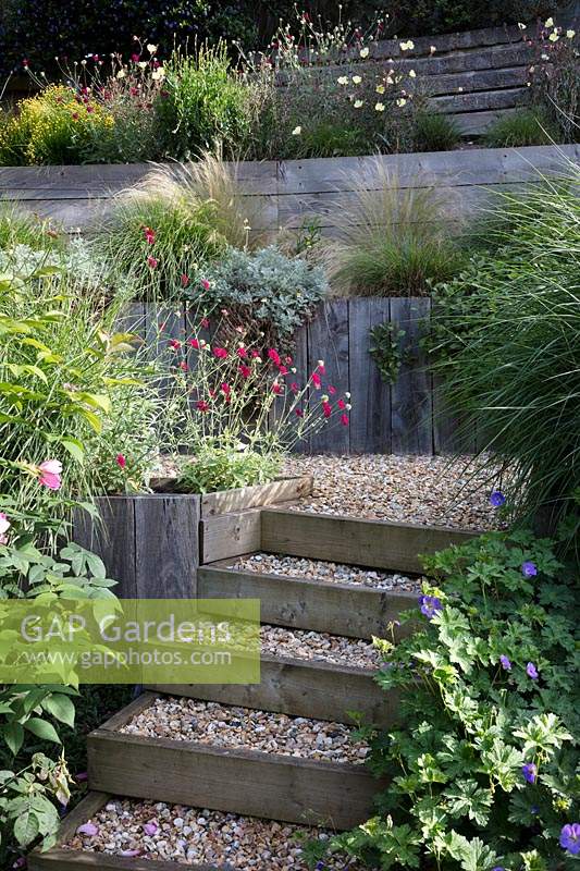 A steeply sloping suburban garden is made accessible with timber steps backfilled with decorative gravel. Timber clad retaining walls support the terraced beds. Wiltshire, UK.