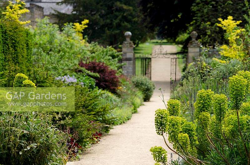 Double border with Euphorbia either side of path leading to entrance gates